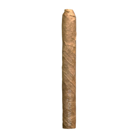John Aylesbury Corona Fehlfarben Sumatra