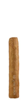 John Aylesbury Jacob van Meer Mini Robusto Zigarre mit feiner Handarbeit und hochwertigem Tabak in kompakter Form