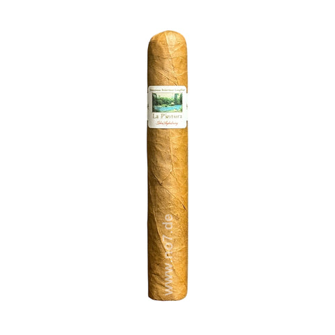 John Aylesbury La Pintura Robusto
